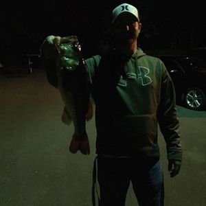 Meet your Posher, Alan